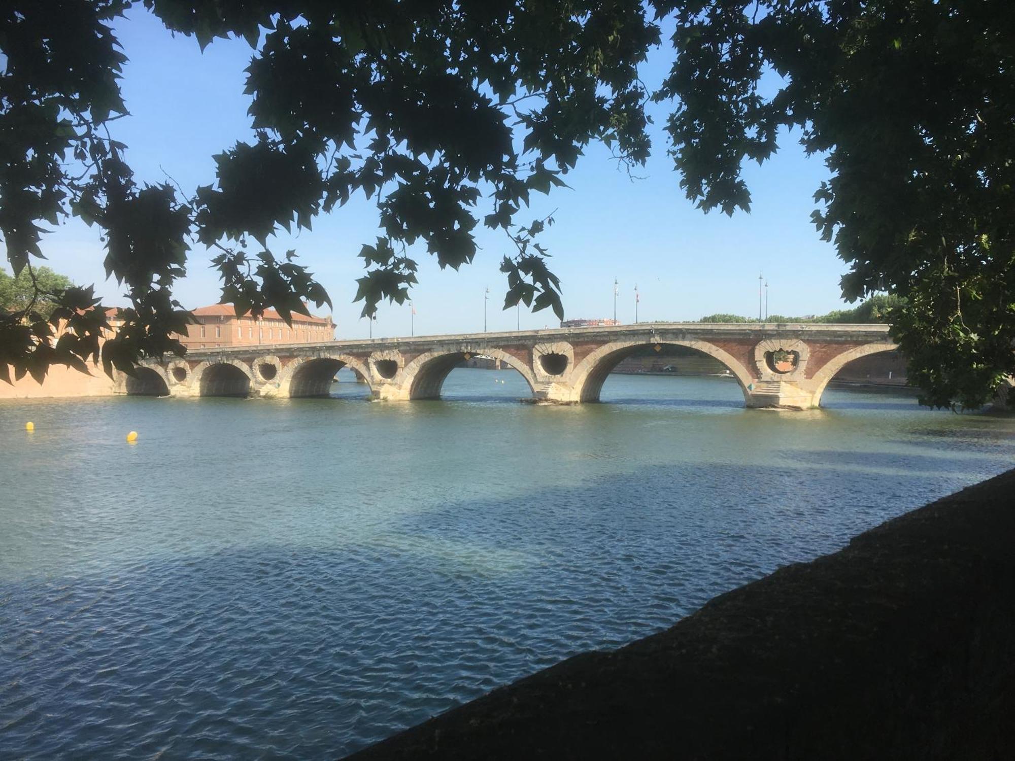 Le Bord De Garonne Lägenhet Toulouse Exteriör bild